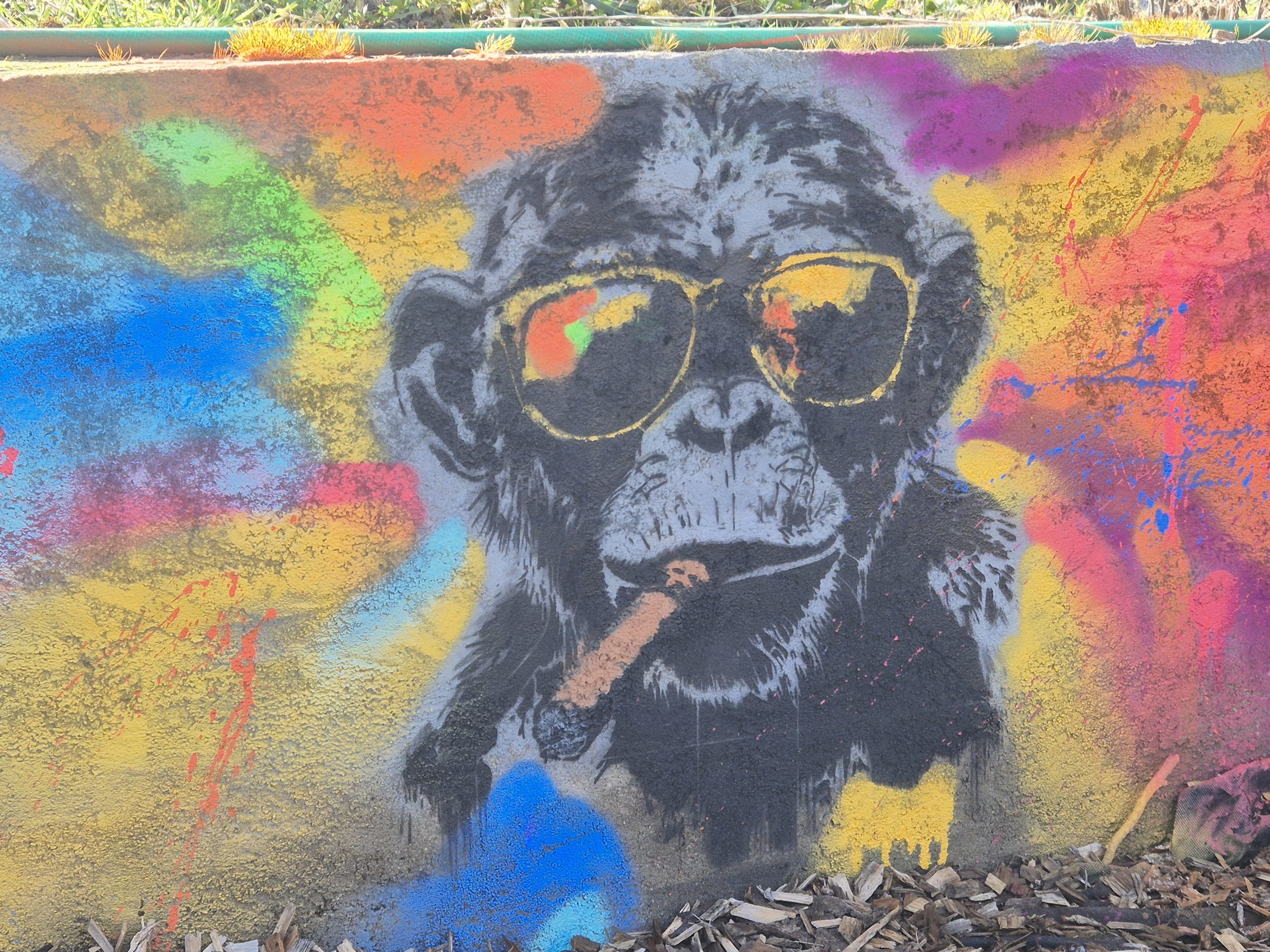 Pochoir Le Singe au Cigare - WS005 photo review